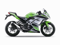 Ninja 300 R Yeşil Beyaz Grenaj Seti