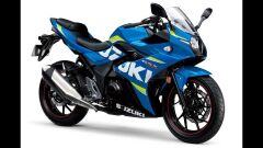 Gsxr 250 Grenaj Seti Mavi